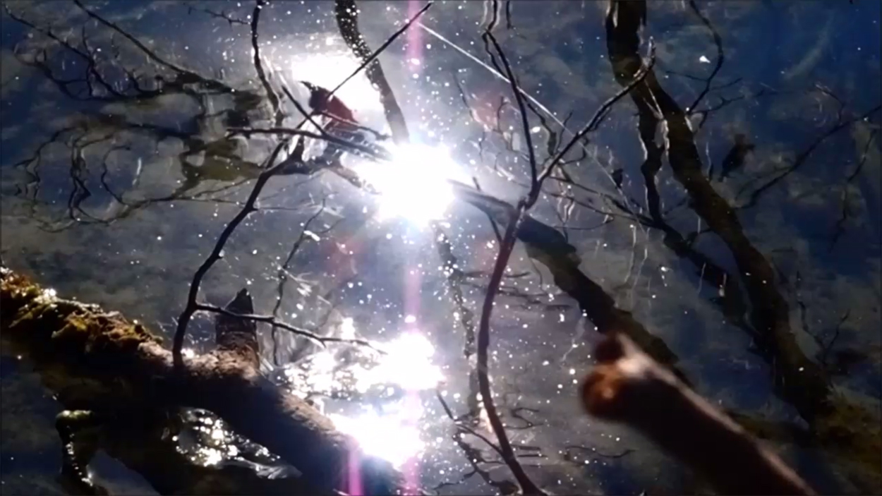 2020-08-16 Licht Reflexe (am Stechlinsee) (Fieldrecording Video)